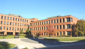 Transnational University (Education)